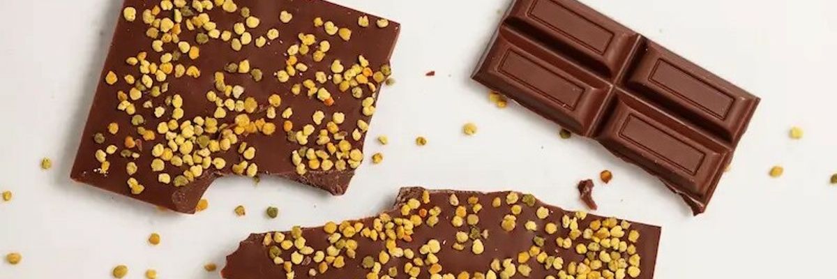 About milk vegan chocolate 50% with flower pollen