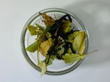 Чай «Immune Boost» - натуральний, карпатський трав’яний, 50 г Immune Boost Pack фото