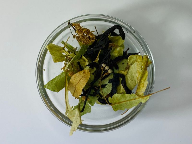 Чай «Immune Boost» - натуральний, карпатський трав’яний, 20 пакетиків Immune Boost Teabags фото