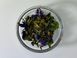 Чай «Ранкова Енергія» - натуральний, карпатський трав’яний, 20 пакетиків Rise and Shine Teabag фото 2