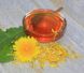 Натуральний сироп з Кульбабки, 300 г Dandelion Flower Syrup фото 2